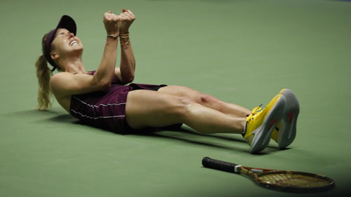 斯维特利纳击败斯蒂芬斯夺得赛季结束的WTA总决赛